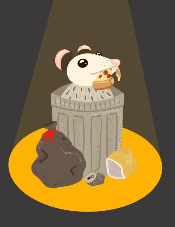Opossum 8.5 x 11" Print